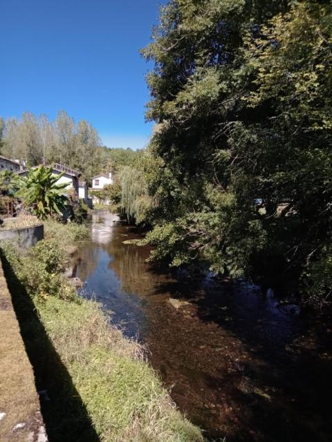 Maison Au Bord De La Riviere Dronne En Perigord Vert Saint-Front-la-Rivière Zewnętrze zdjęcie
